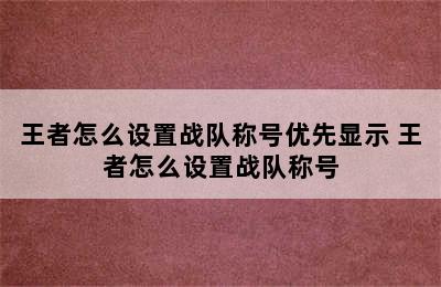 王者怎么设置战队称号优先显示 王者怎么设置战队称号